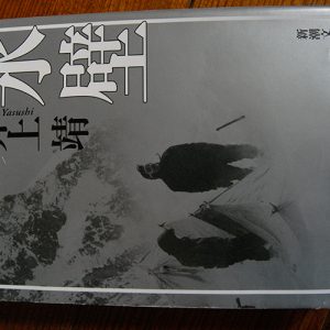 北アルプス登山のお伴に最適だった『氷壁(井上靖著)』。登山のドキドキが本からも溢れ出る!