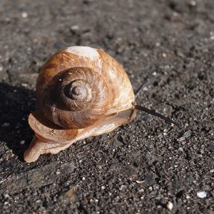 何か付いてますよ(;つД⊂)ゴシゴシ