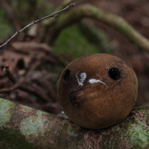 2014年最初の山散歩は…