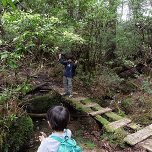 家族で登山（太忠岳編）
