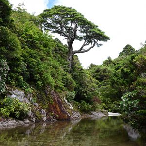 毎年恒例、奥岳沢登り 2014年