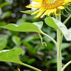 脱ぎました＾＾