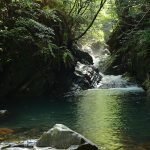 夏の沢登り