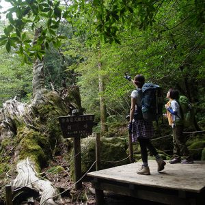 1泊縄文杉ツアー 2015.9.7-8