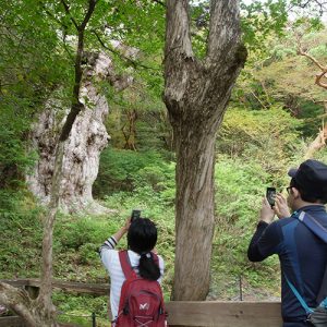 縄文杉ツアー  2015.10.14