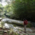 リピーターさん専用　2015.11.5