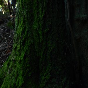 冬はのんびりと散策がいい＾＾