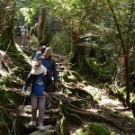 2016年3月20日 太鼓岩(English)