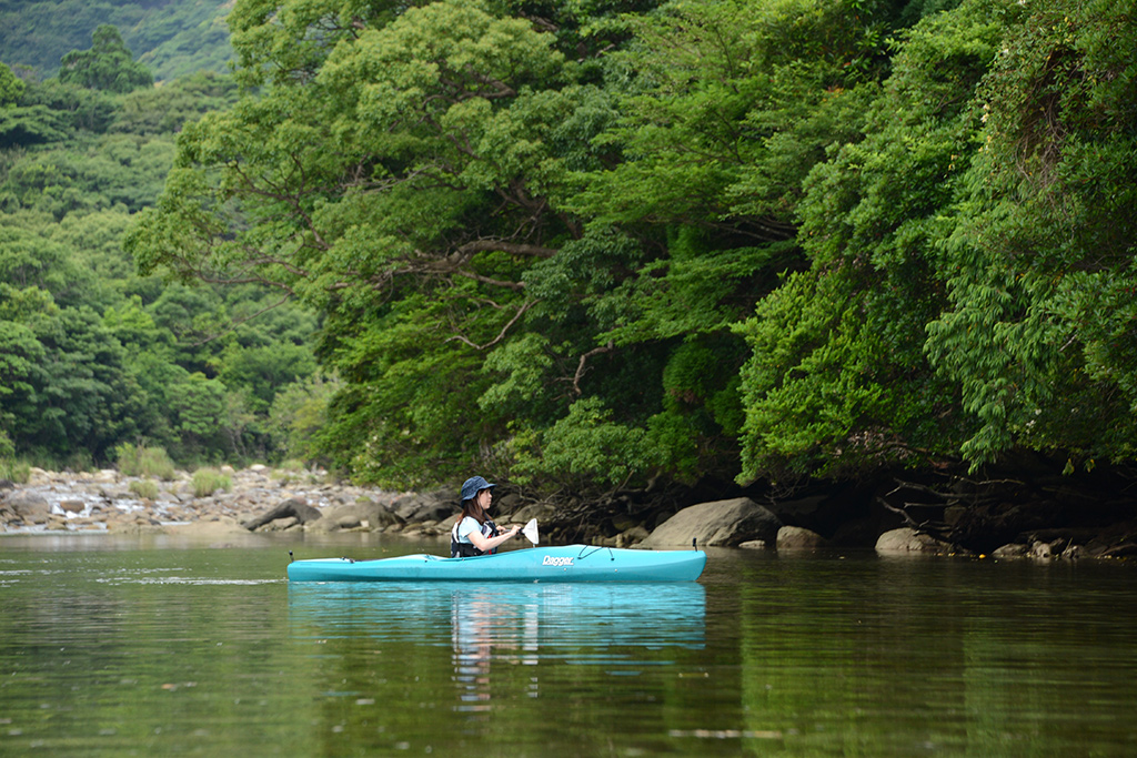 カヤックの上は自然の音しかしない静かな時間だが、時折ヒメハルゼミの大合唱が聞こえてくる