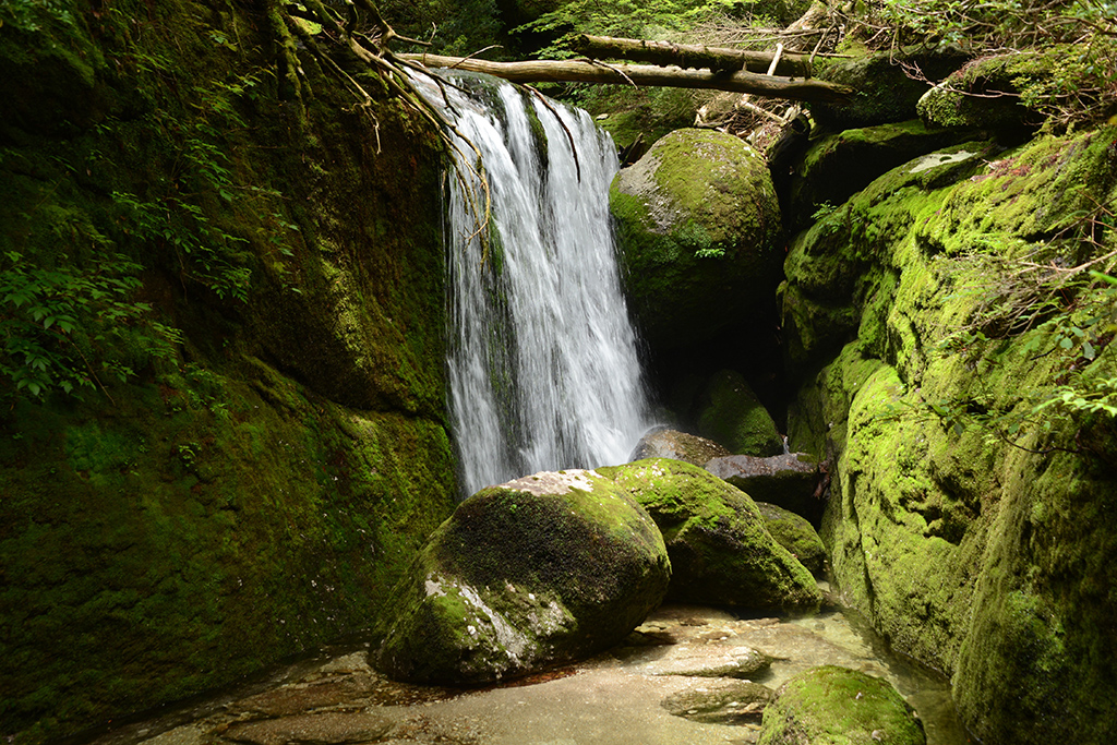 後半に行くほど、水量は減り、岩場を上る場面が増えて来ます。