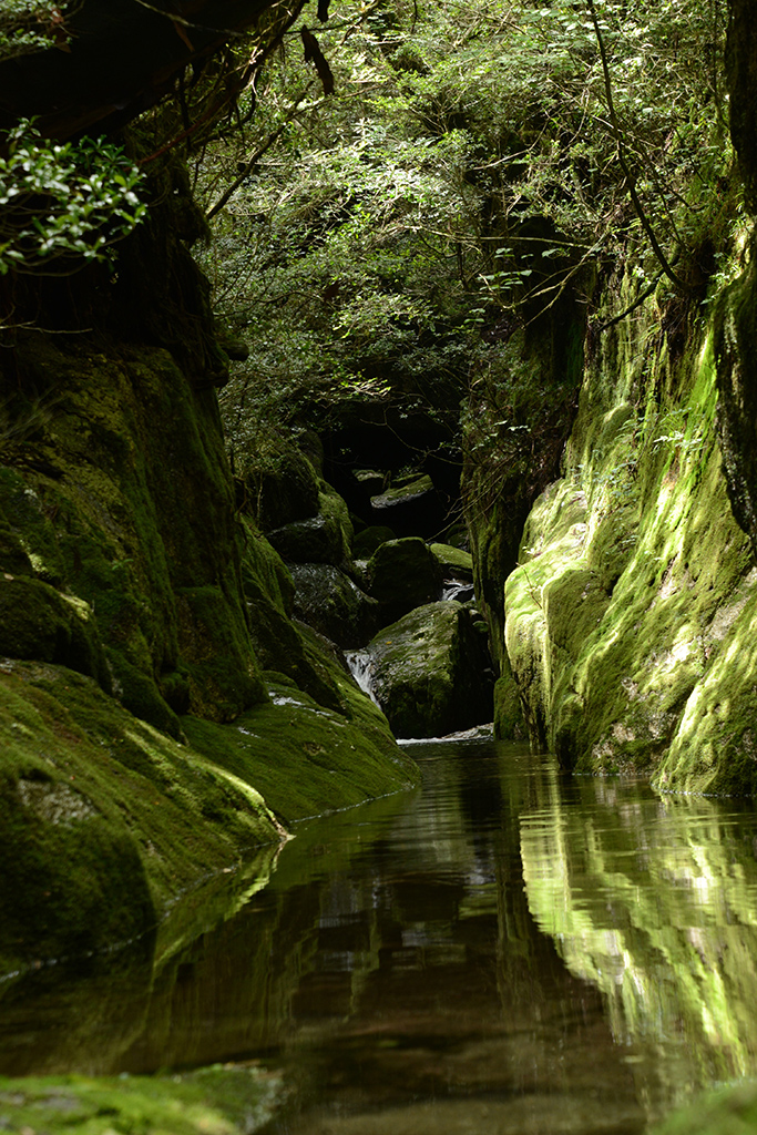 途中から、急に沢登りらしくなってきました