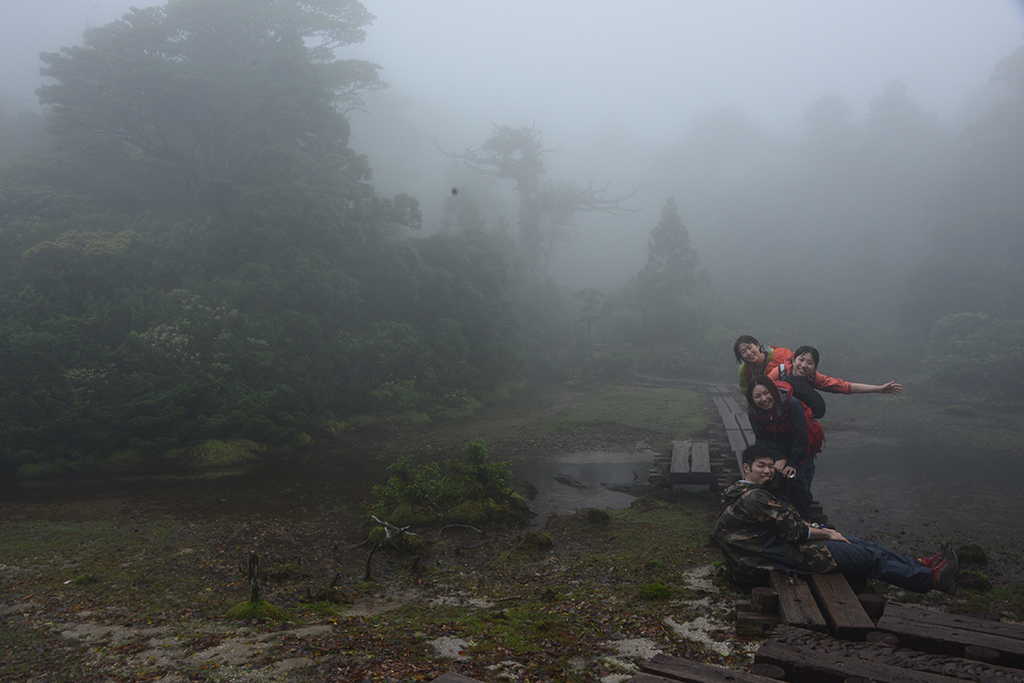 小花之江河はガスで真っ白でしたが、幻想的で美しかったです