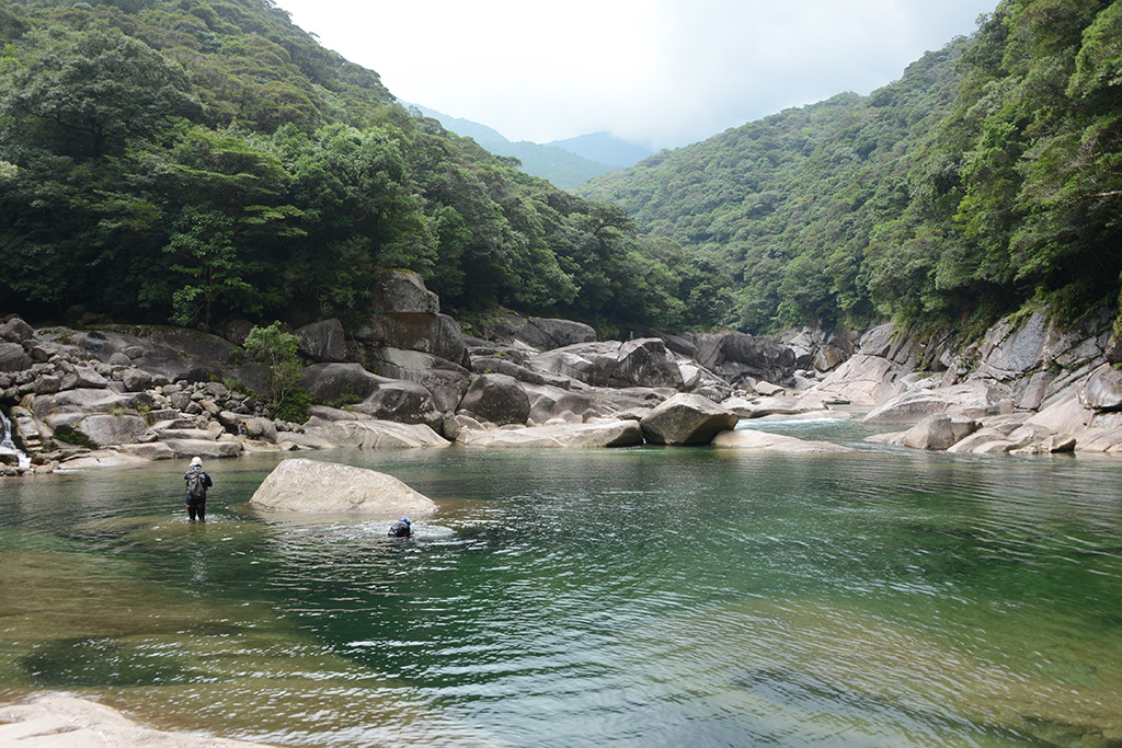 屋久島自体が剝きだしになる川の光景