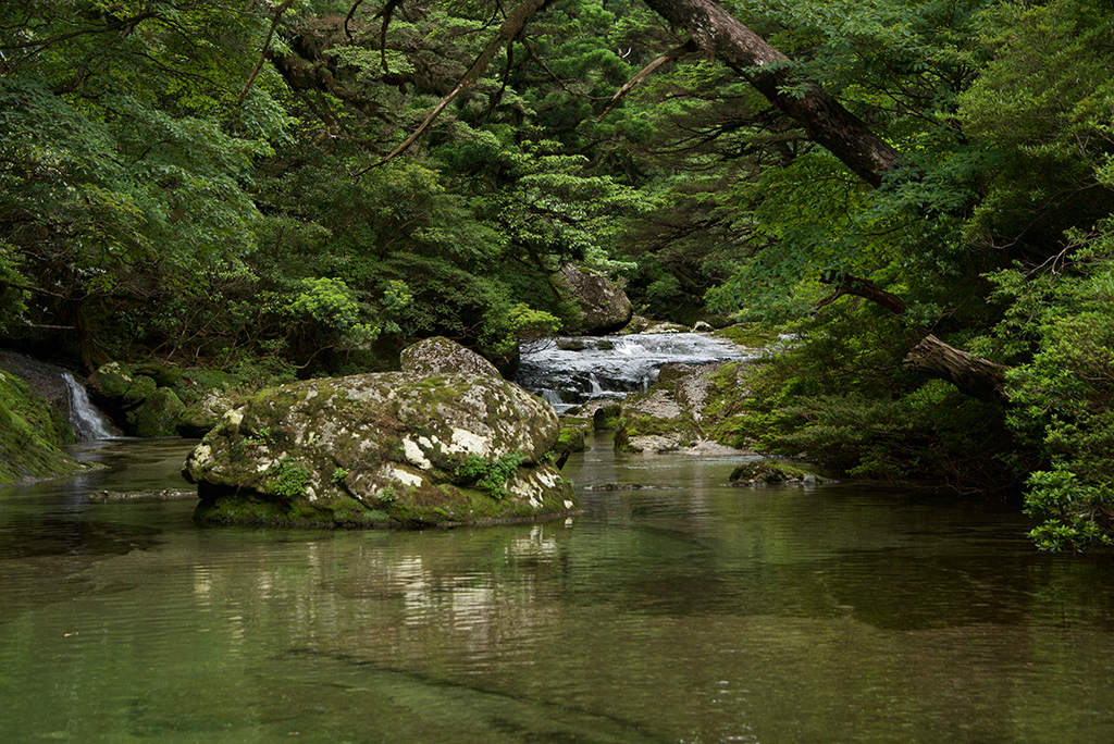 日本庭園はこの自然美から生まれたのでしょう