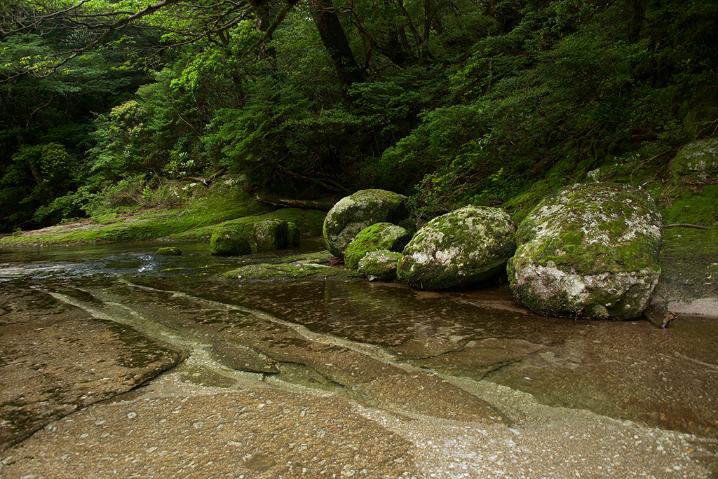 玉岩がまとまって脇に並んでいる姿に魅せられ…