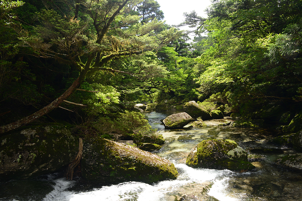 基本的にはこんなに晴れています！ただ、写真だと色が上手く出ないので写真は陰った時に基本撮っています