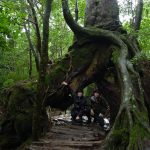 2016.7.14 白谷雲水峡