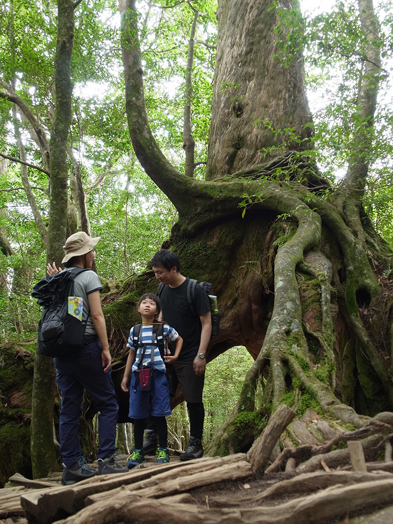 くぐり杉をくぐって「どうだ！」の図（笑）
