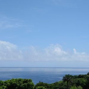 勝手に梅雨明け宣言！（2016年）