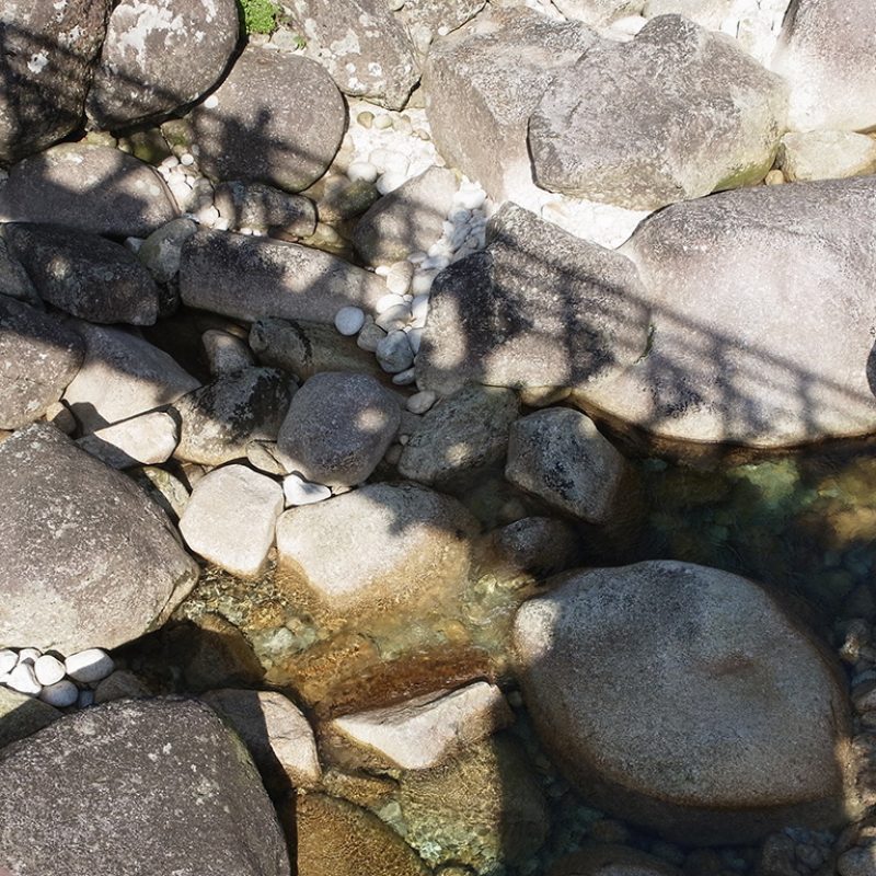 2016.7.28-29  1泊2日縄文杉