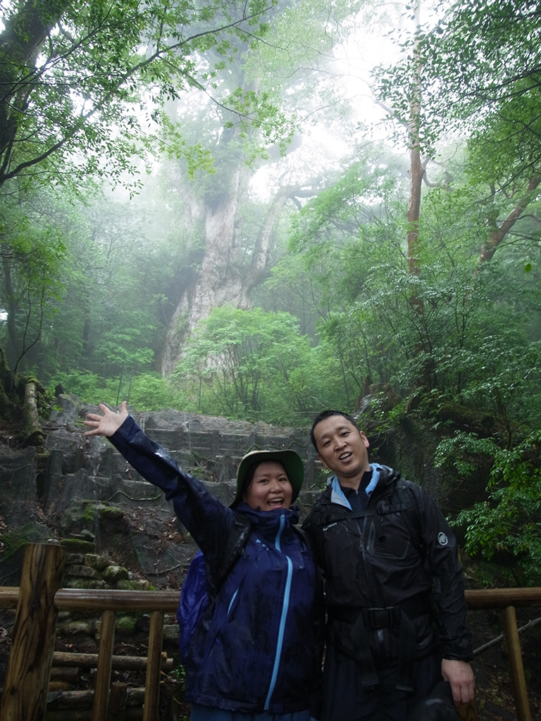 小雨降る中、念願の縄文杉前で元気よく記念写真を撮っている光景
