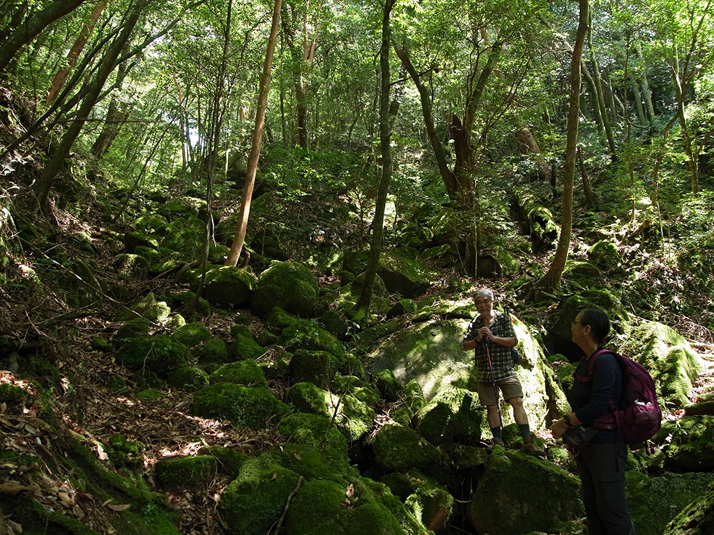 お盆なのに、苔むした森を貸切状態で堪能するお二人の写真