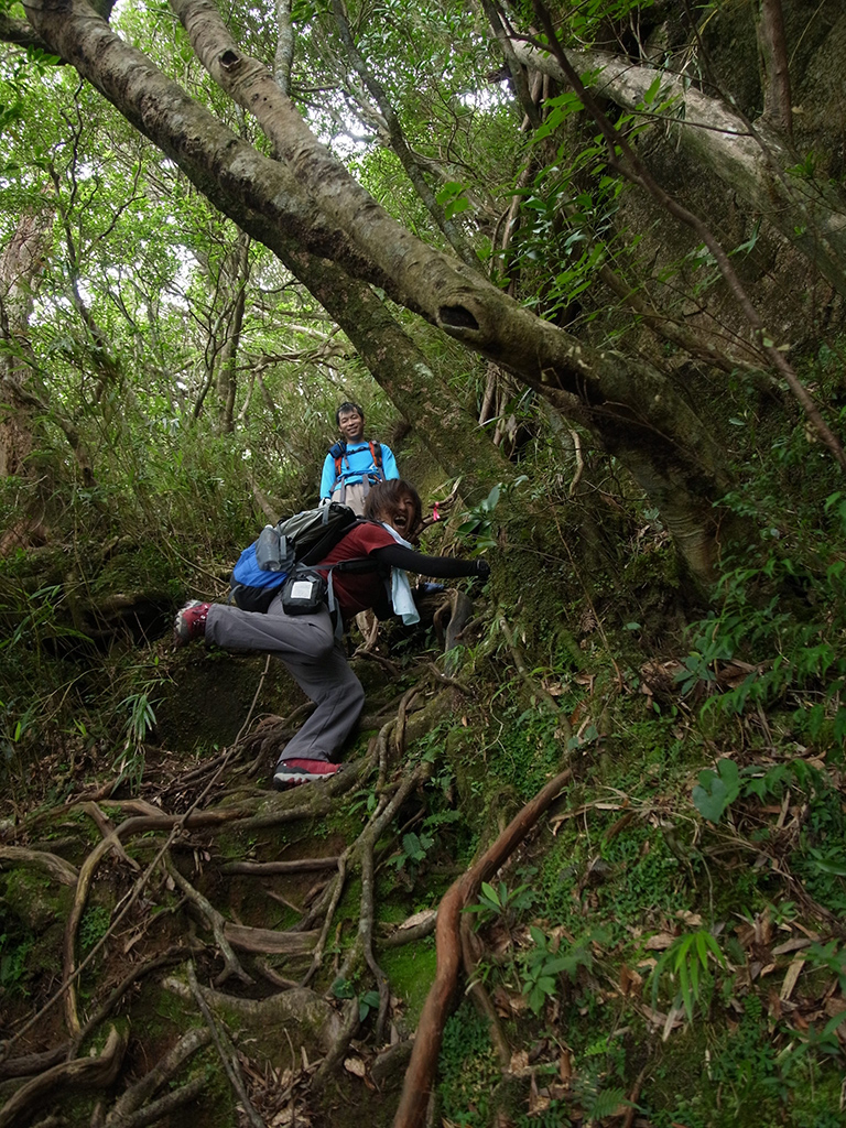 モッチョム岳の急登にもかかわらず、大はしゃぎなリピーター二人の写真