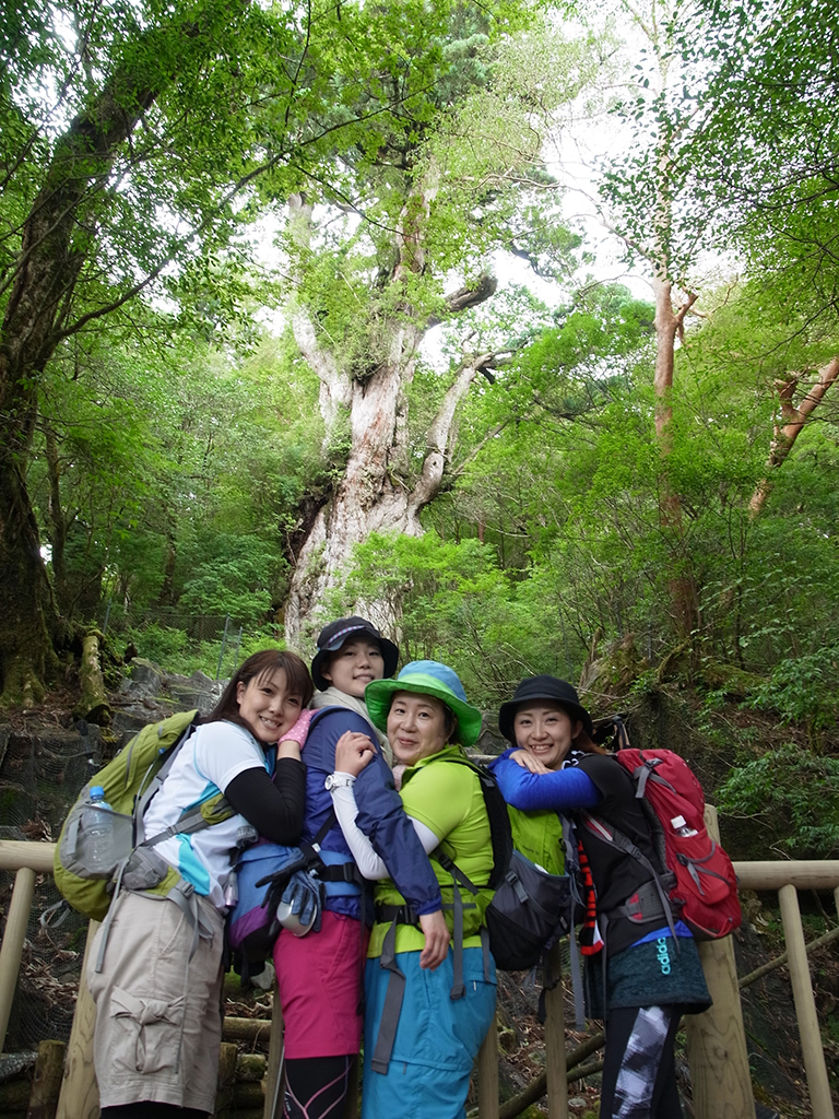 念願の縄文杉に出会えた４人が、縄文杉をバックにお互いに抱き合って到着記念撮影