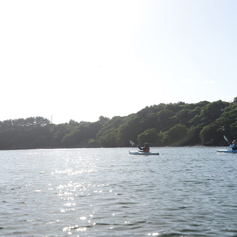 2016.8.25　カヤック（栗生川）
