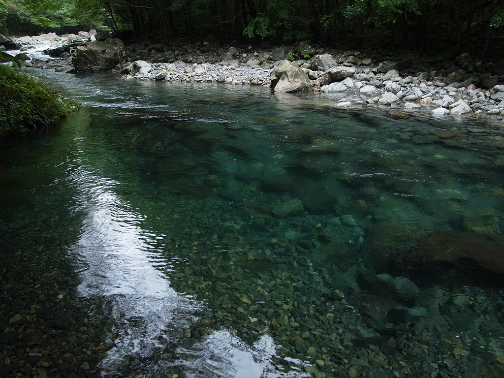 青みがかった水の透明度が分かる広がりのある川の写真