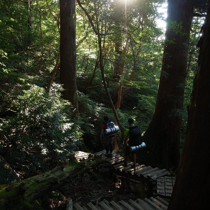 2016.9.30-10.1  1泊縄文杉(白谷雲水峡往復)