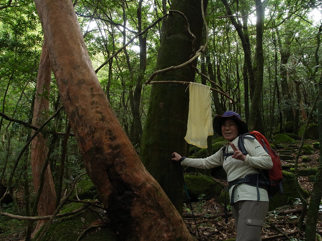 ツル植物が垂れ下がってまるでハンガーのようだったので、そこにタオルを干してTさんの記念撮影