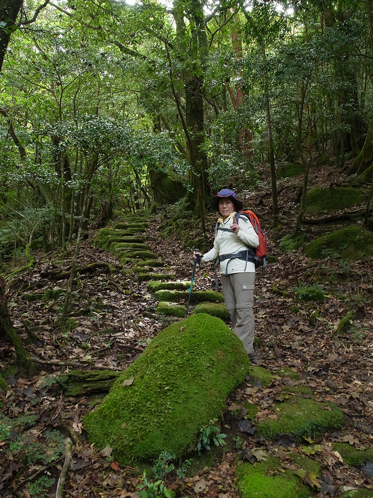 苔に覆われた美しい石畳と参加者Tさんの写真