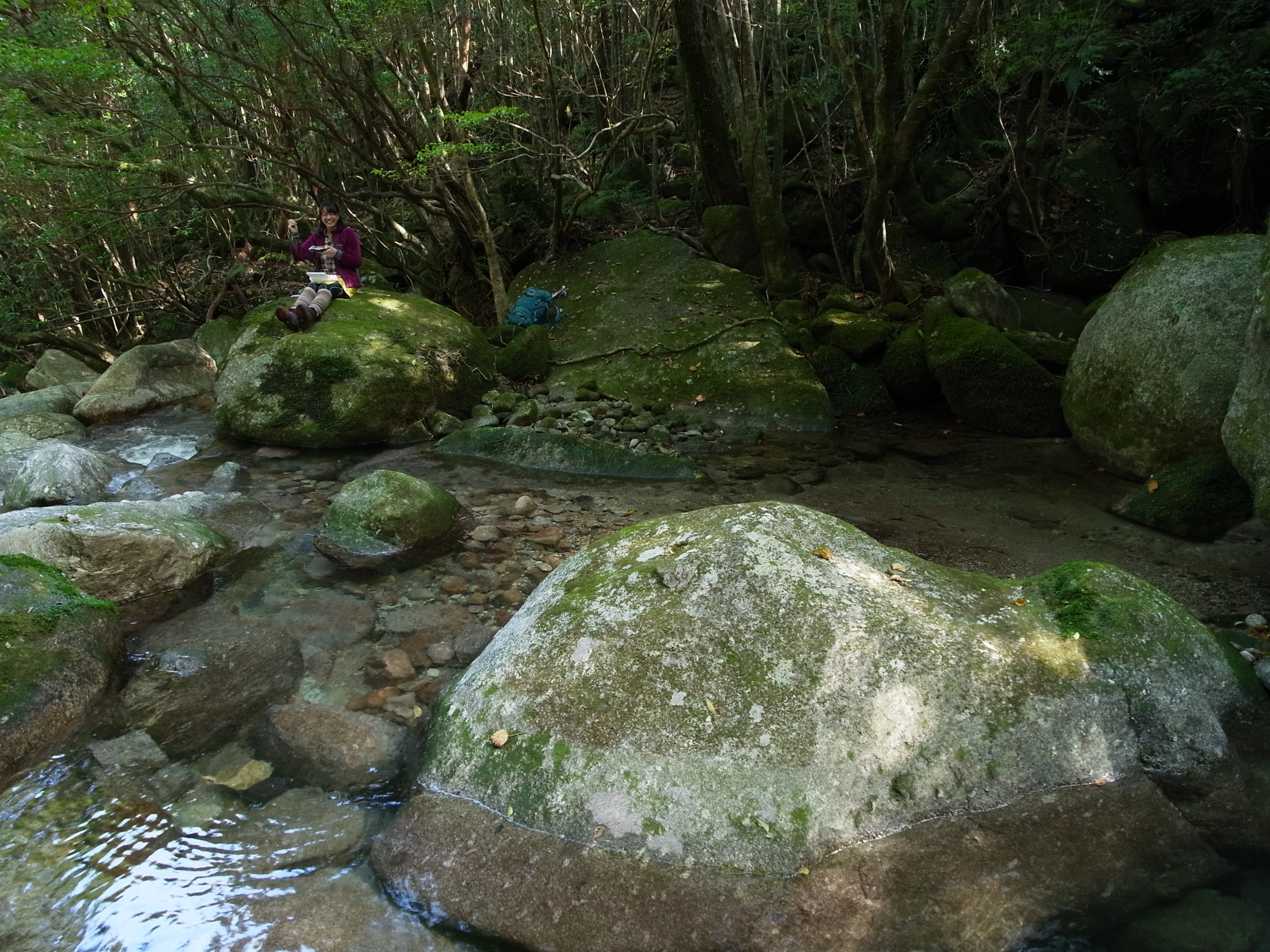 沢沿いの岩の上でお弁当を広げて食べる参加者Rさんの写真