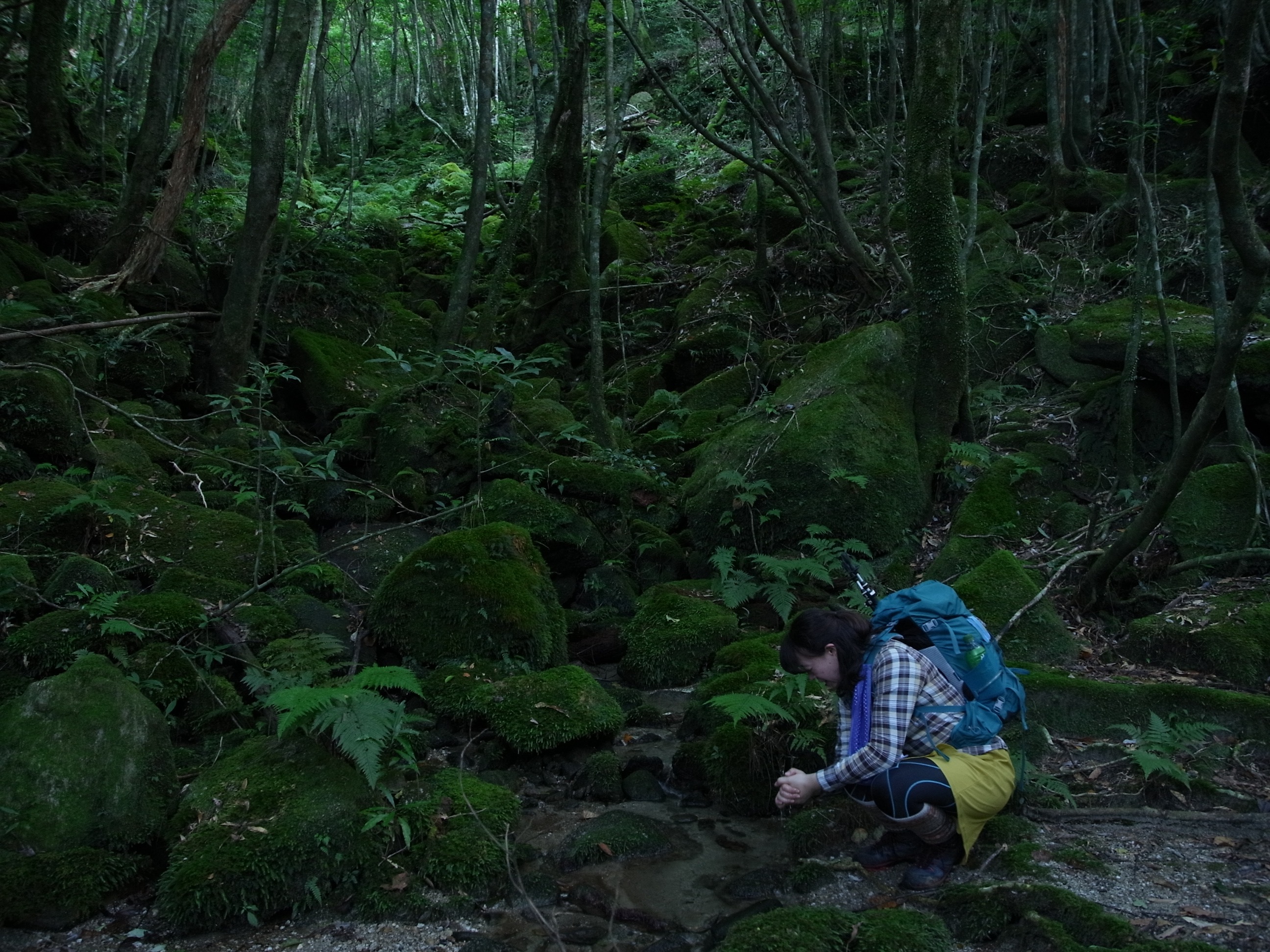 白谷雲水峡も真っ青の苔の世界が広がり、そこを流れる清流で水と戯れるRさんの写真