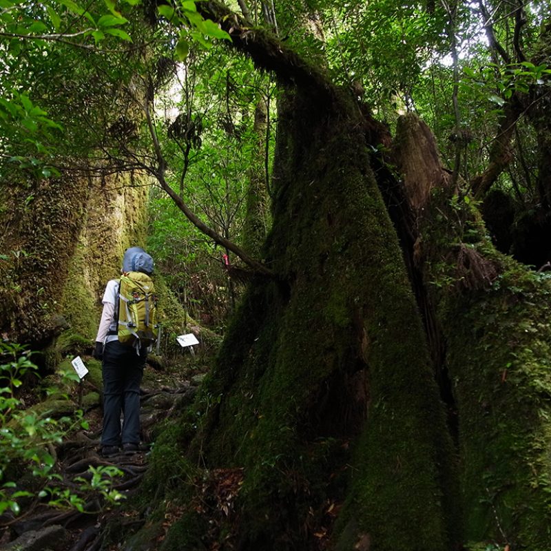 天文の森 2016.12.4