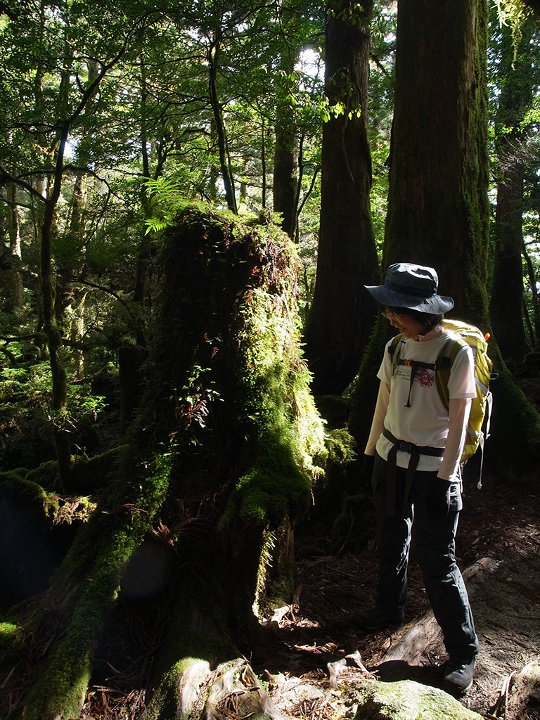雫が木漏れ日で光り輝く様を見つめる参加者の写真