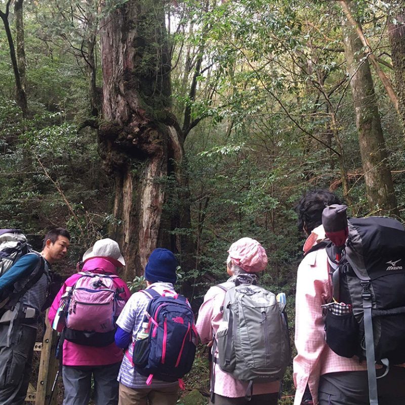 何歳になっても挑戦する心  2016.11.28 &29