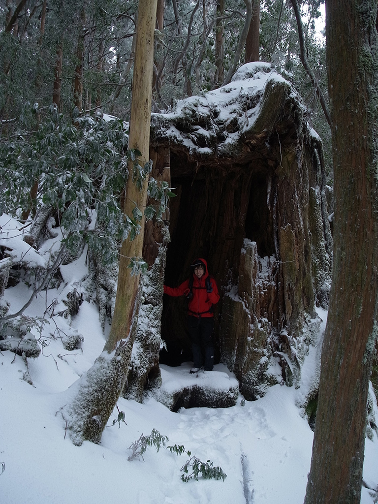 屋久杉の一部が伐られていて、まるで小部屋のようになっているその入口に満面の笑みで立つ参加者の写真