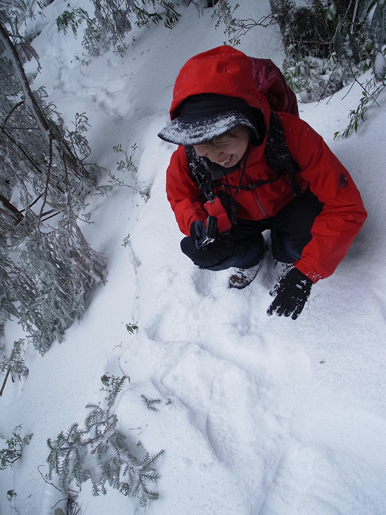 足元に積もる美しい新雪の写真を撮っている参加者の写真