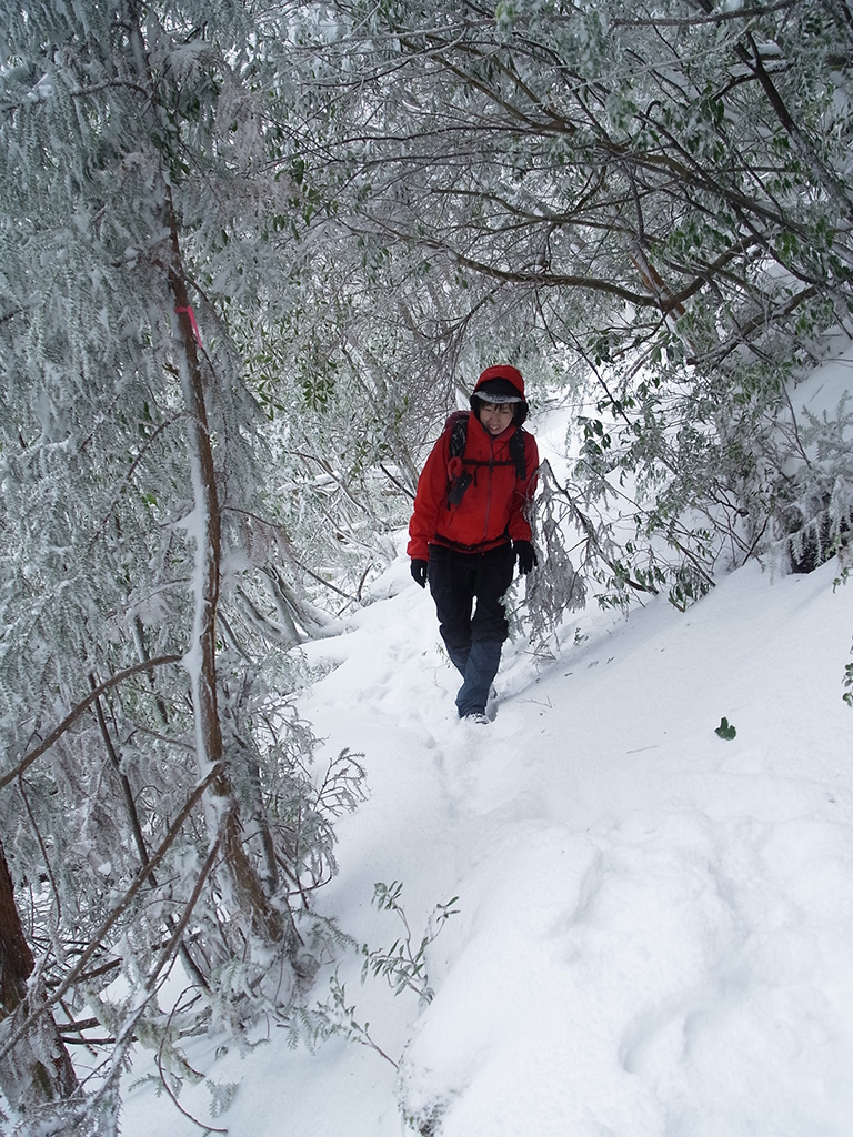 真っ白になった雪景色の中を、気持ち良さそうに歩いてくる参加者の写真