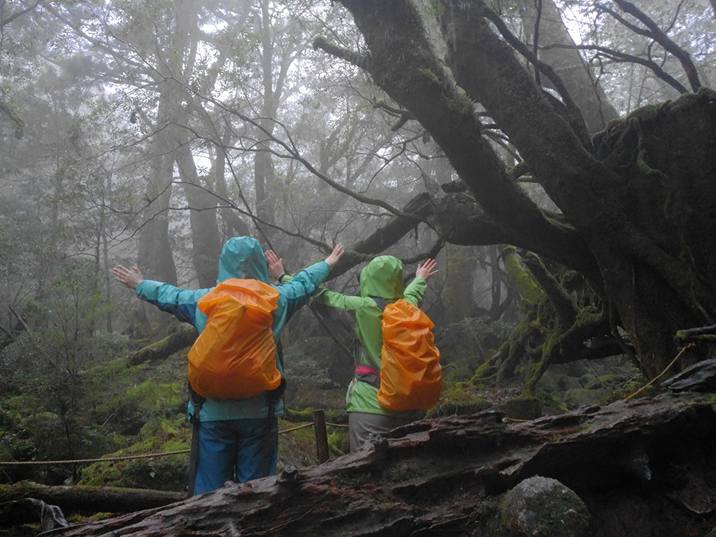 苔むす森に到着し、二人が景色を見ながら大きく手をあげて気持ちよさを表現してくれた写真