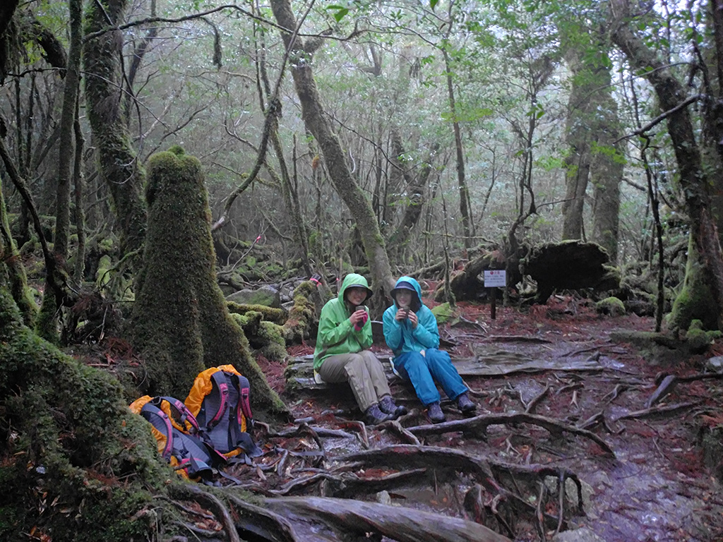 苔に溢れかえる清流の湧きでミルクティーを幸せそうに飲む二人の写真