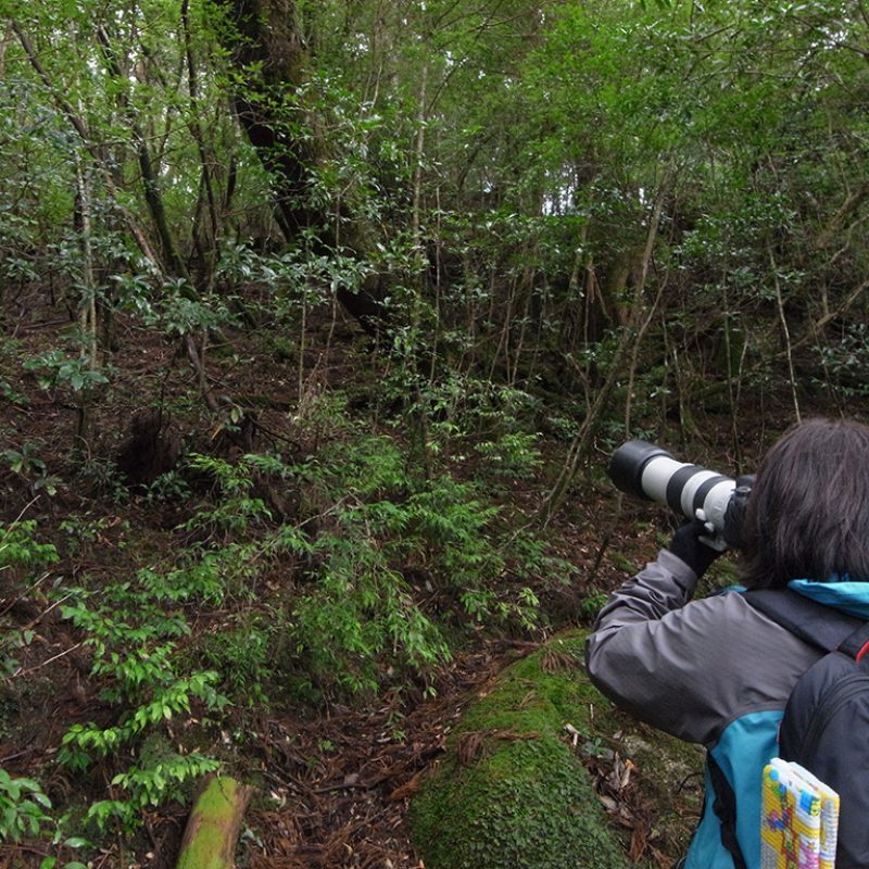 シカ写真家の石井さんと歩いた２日間