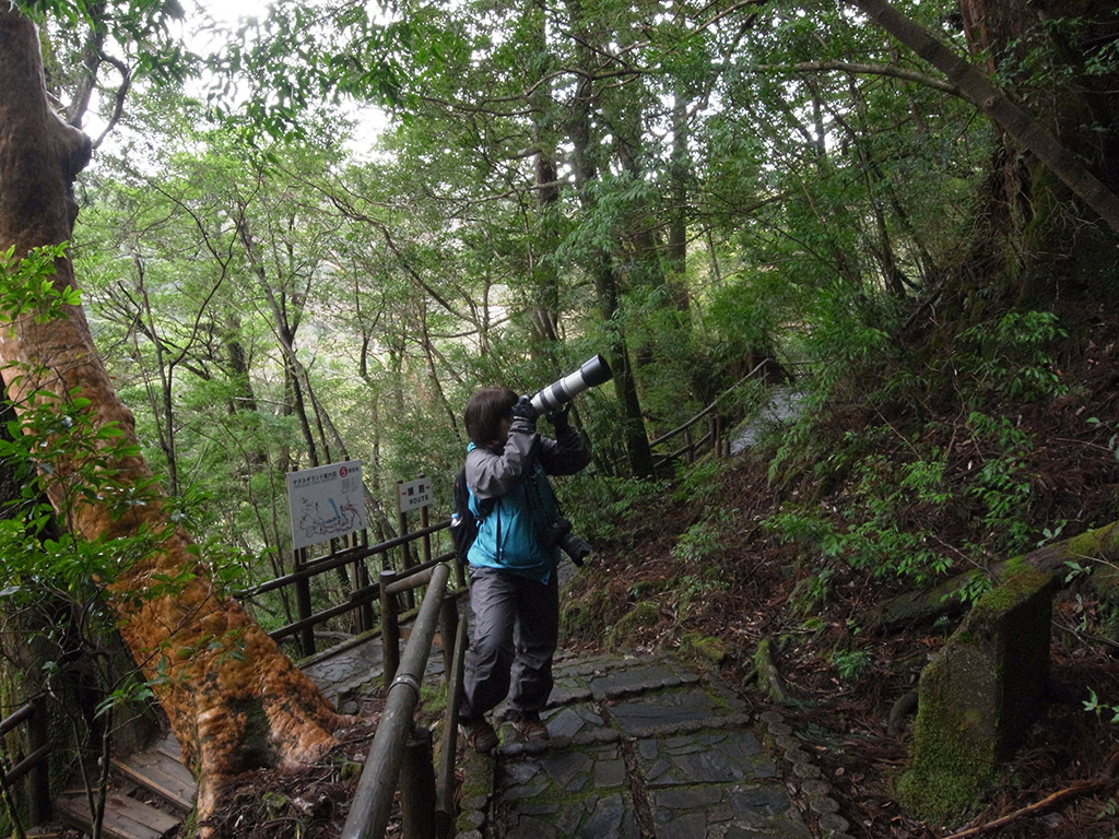 待ちに待ったヤクシカとの遭遇を果たし、プロのシカカメラマンとしてカメラを構えている参加者の写真