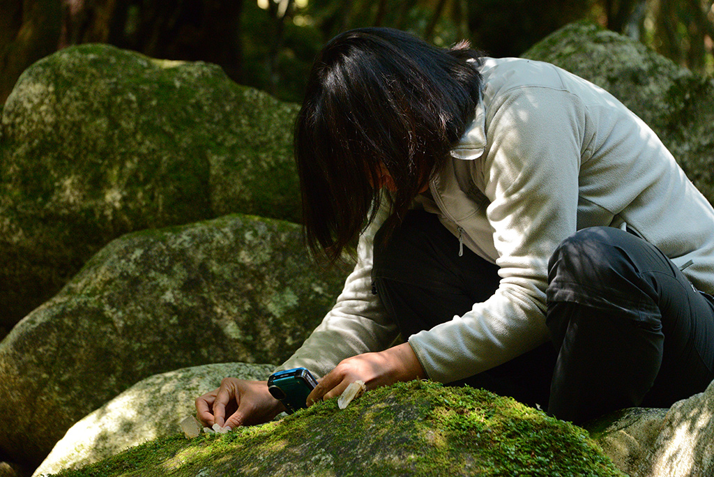 拾った水晶の写真を撮る女性参加者Tさんの写真