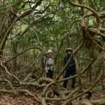 キョロキョロと周りを見ながらの散策って…