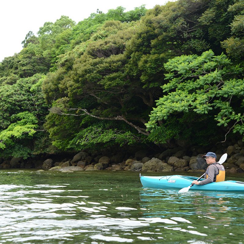 屋久島9回目にて栗生川カヤック