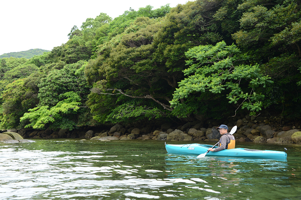 静かにカヤックを漕ぎ進める参加者のUさん