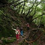 奉行杉コースを回ったが故に続いた幸運